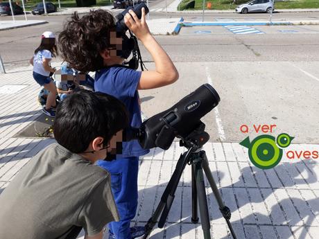 Con las aves de William Shakespeare por Coslada