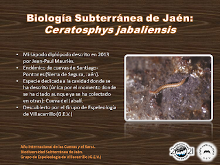 Biología Subterránea de Jaén (III)