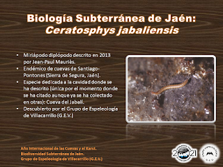 Biología Subterránea de Jaén (III) Biología Subterránea de Jaén (III)