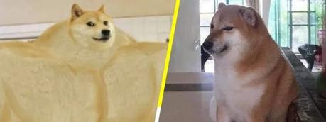 Los mejores MEMES que nos regalo el 2020