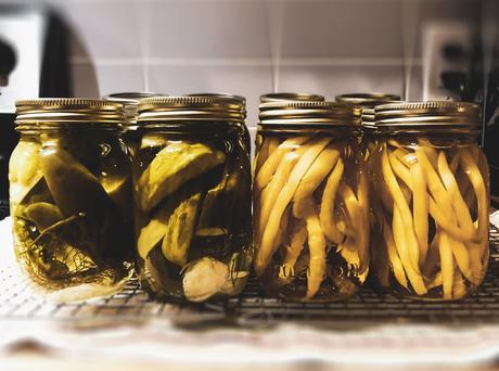 5 Bebidas Fermentadas Probióticas para hacer en casa fermentos