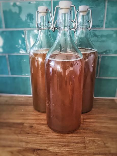 kombucha casera bebidas fermentadas