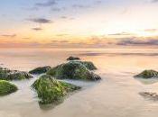 EXP3 para problema Bandido Multibrazo (Multi-Armed Bandit)