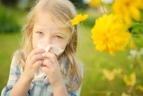 Alergia primaveral