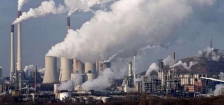 ¿Qué son las extinciones en masa y cuáles son sus causas?