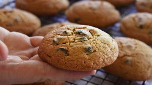 galletas con chips de chocolate galletitas cookies