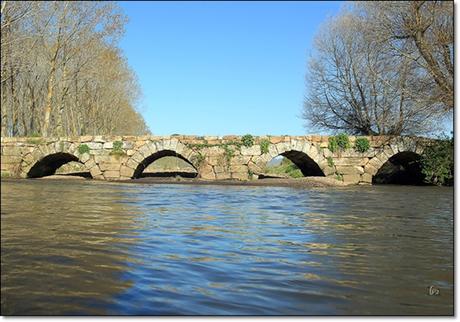 Puente Perdiz