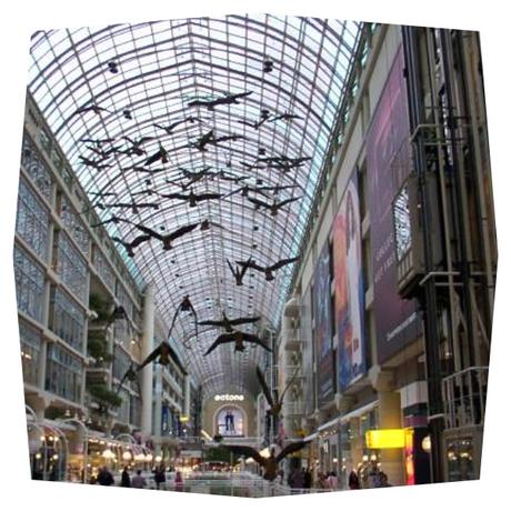 Curioseando por Toronto