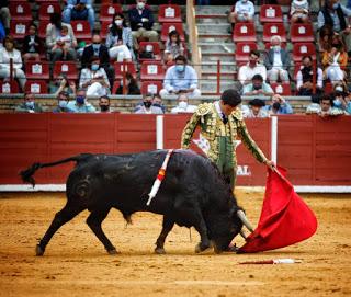 EL RAFI Y RUFO, OREJA EN LA NOVILLADA DE LA FERIA DE MAYO DE CÓRDOBA EL RAFI Y RUFO, OREJA EN LA NOVILLADA DE LA FERIA DE MAYO DE CÓRDOBA