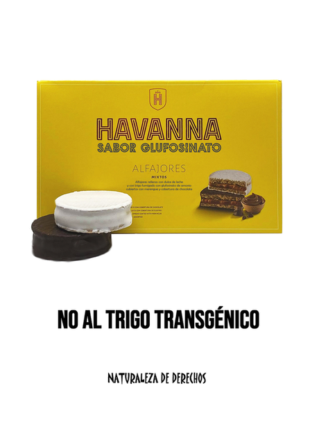 Argentina Transgenetizada Argentina Transgenetizada
