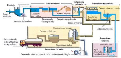 Contaminación de agua (III): AUTODEPURACIÓN Y TRATAMIENTO DE AGUAS RESIDUALES