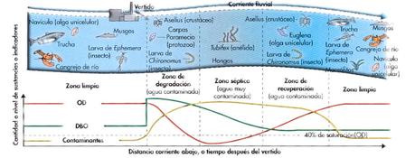 Contaminación de agua (III): AUTODEPURACIÓN Y TRATAMIENTO DE AGUAS RESIDUALES