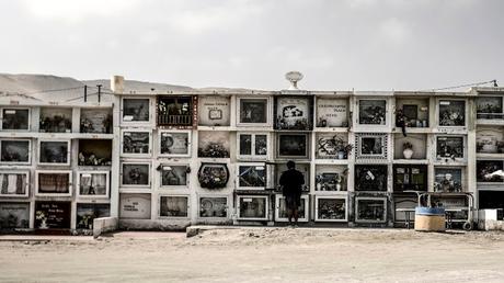 Docsbarcelona 2021 - Día 1: Acariciando la normalidad