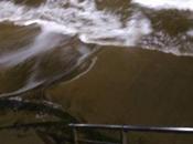 Mientras estrecha percepción encoge conciencia