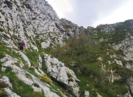 Gradura por la Senda L'Gabitu y Cuafurada