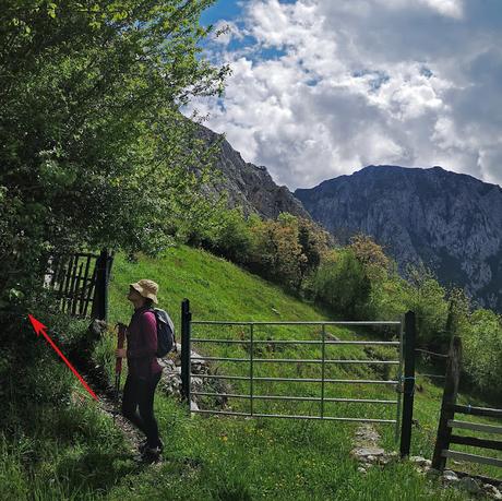Gradura por la Senda L'Gabitu y Cuafurada
