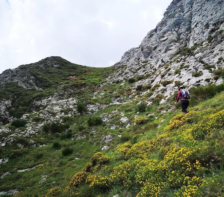 Gradura por la Senda L'Gabitu y Cuafurada