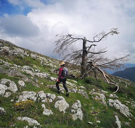 Gradura por la Senda L'Gabitu y Cuafurada