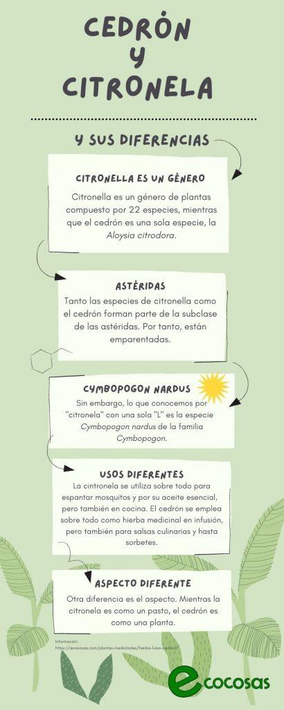 diferencias cedron y citronela