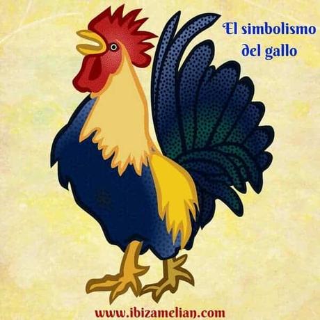 El simbolismo del gallo