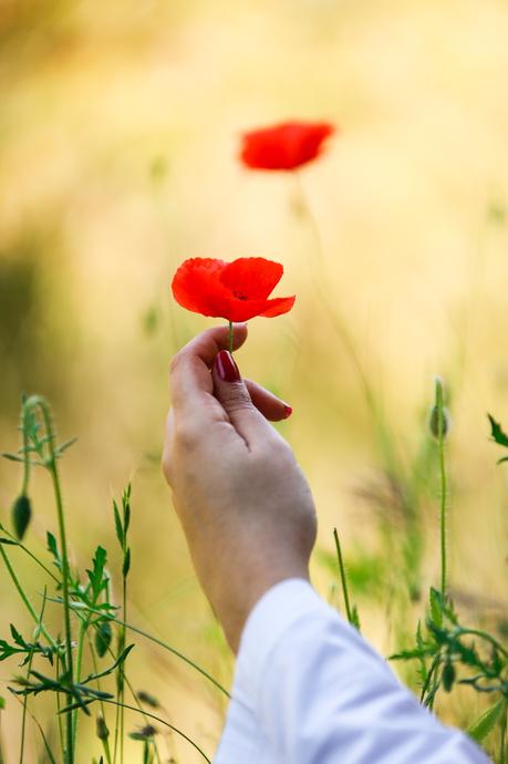 No eres tú, somos todos