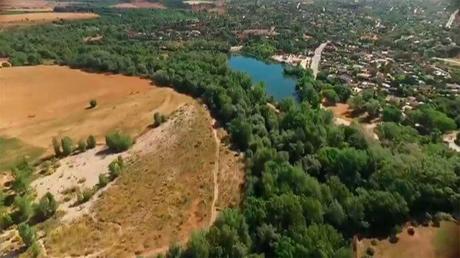 La Campiña del Jarama, una joya ornitológica al lado de la capital