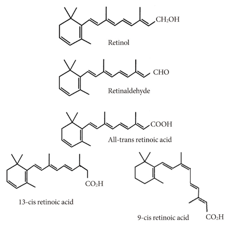 ¿Para qué sirven el retinol, la vitamina C, la niacinamida, el hialurónico y otros? ¿Para qué sirven el retinol, la vitamina C, la niacinamida, el hialurónico y otros?