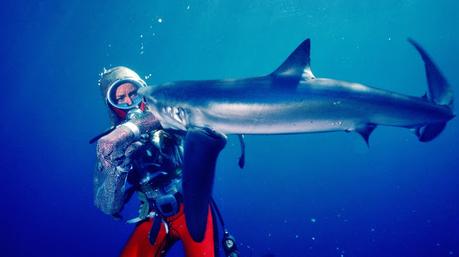 Docsbarcelona - Días 3-4: El hombre frente el espejo