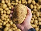 Beneficios nutricionales papa