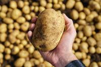 Beneficios nutricionales de la papa Beneficios nutricionales de la papa