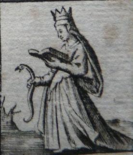 De leyendas y anguilas comestibles.