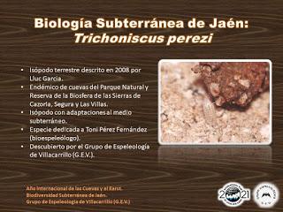 Biología Subterránea de Jaén (IV)