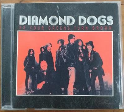 Diamond Dogs - Goodbye Miss Jill (2001)