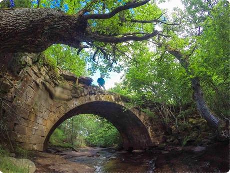 Puente de Rojadillo