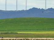 TIERRA CAMPOS (Palencia)