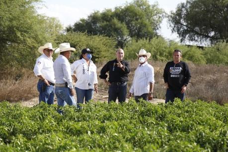 Galindo realiza intensa campaña en la delegación de Bocas