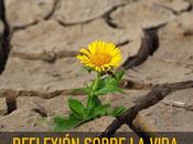 Reflexión sobre vida
