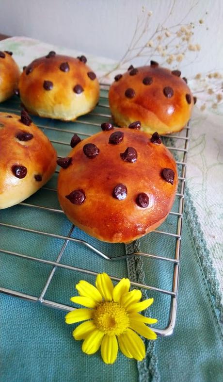 Doowaps al aove Doowaps al aove