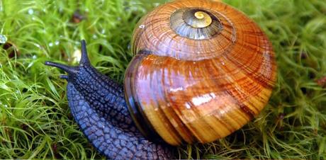 Cabo Reinga, donde las almas abandonan la tierra