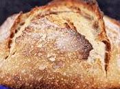 Masa madre