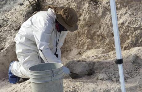 Encuentran fosa con restos humanos en Rioverde