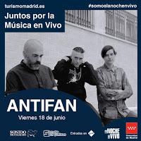 Concierto de Antifan en Café la Palma