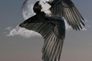 Nominados a los VII Premios Guillermo de Baskerville Nominados a los VII Premios Guillermo de Baskerville