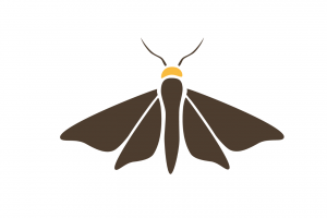 Nominados a los VII Premios Guillermo de Baskerville Nominados a los VII Premios Guillermo de Baskerville