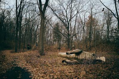 Prehistoric Forest Amusement Park