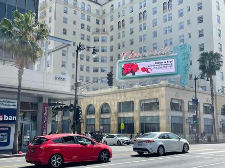 Lichis de Guandong: qué puede crecer en los árboles milenarios Lichis de Guandong: qué puede crecer en los árboles milenarios