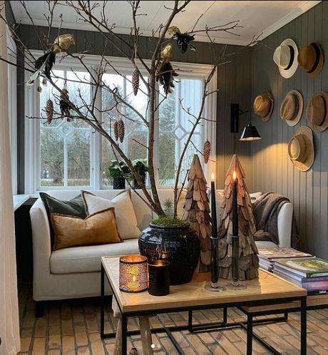 Los Nuevos Livings Rusticos