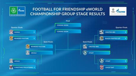 El campeonato del mundo en línea Football for Friendship: Jugadores de más de 200 países compiten en equipos mixtos
