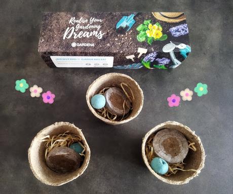 TODO GRATIS RECIBIDOS (Vol.56)