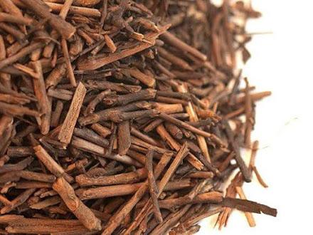 Té Kukicha, el alimento estrella para tu salud